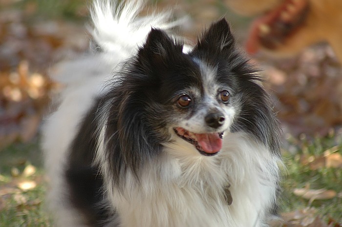 dsc_0015_v2.jpg