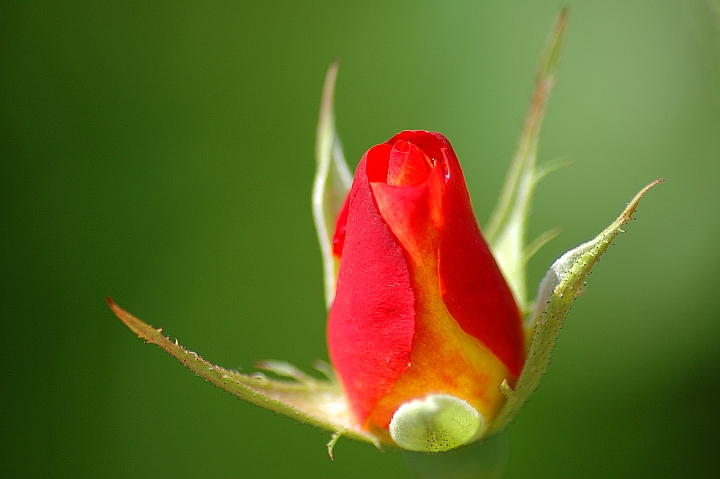dsc_4163_v3.jpg