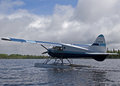 De Havilland Beaver DHC-2