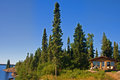 Cabin in the Woods