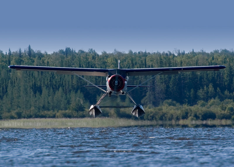 de havilland Beaver 