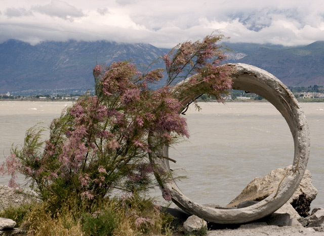 Lake-Concrete-Circle.jpg