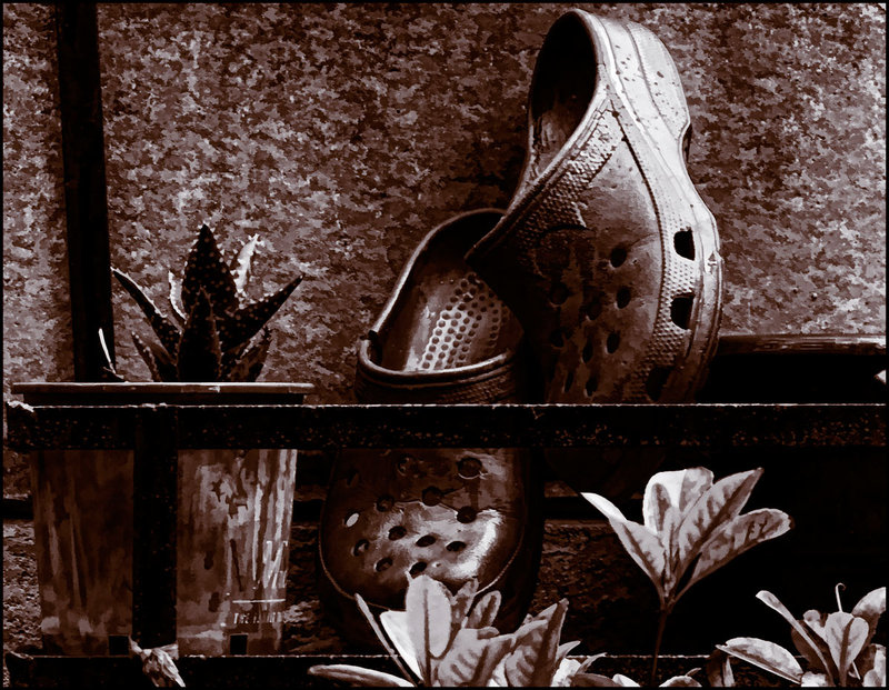 Crocs in the rain.