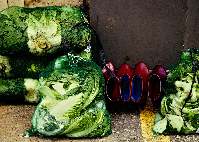 Cabbages and Wellingtons