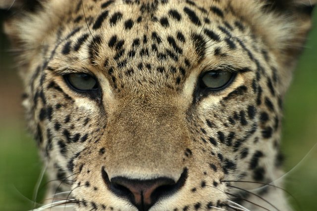 Who are you looking at?