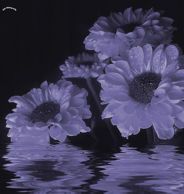 Flowershop2.jpg