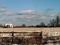 Lonely Barn