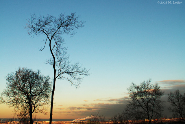 The Scenic View