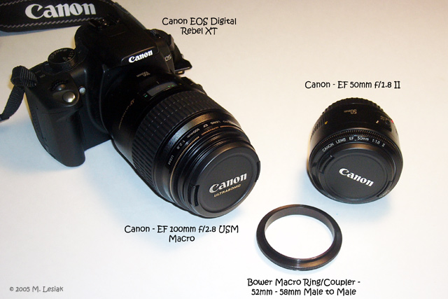 Macro Setup - 50mm attached to 100mm (1)