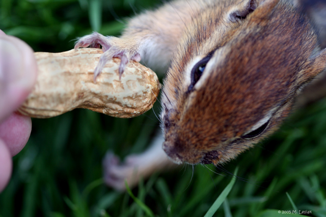 Sharing
