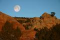 moonshot copy.jpg