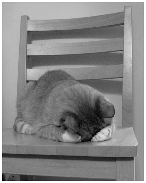 You Can't See Me!