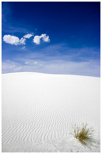 Waves of White