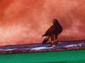 Kept Fowl.jpg