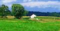 Red Roof Farm2.jpg