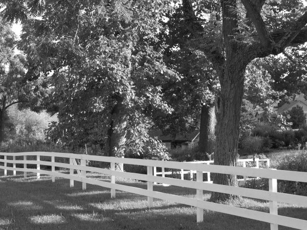 Fenced Streaming Light B&W.jpg