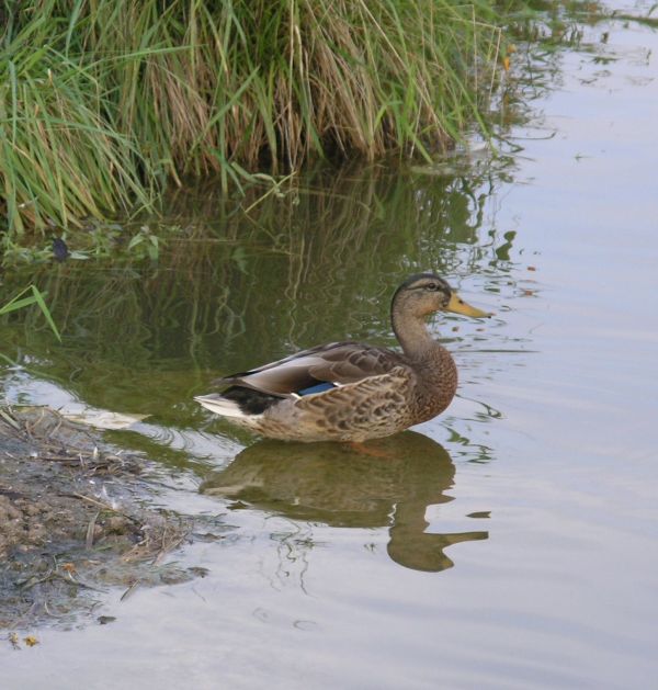 P9020486cropped.jpg