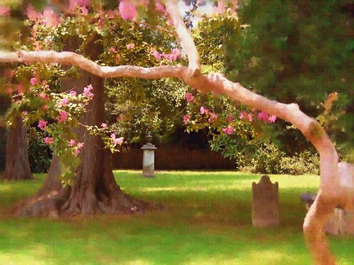 Williamsburg Cemetary.jpg