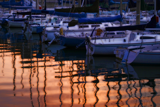Marina del Rey