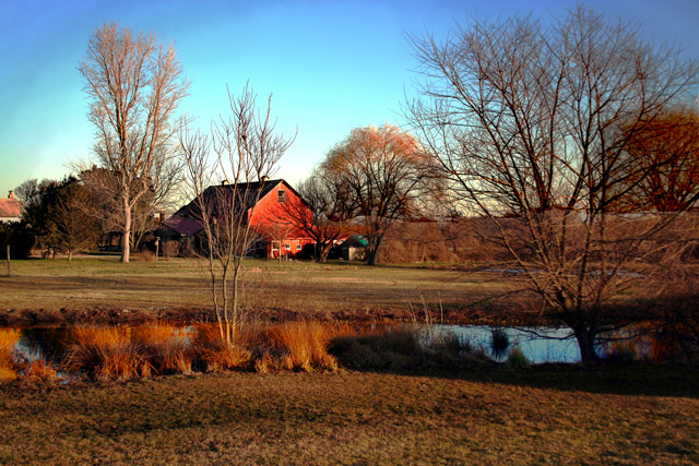 IMG_2993-farm2.jpg