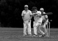 4708hamish.jpg