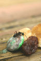 My ant photo Brighter.jpg