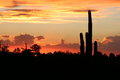Sunset Tucson