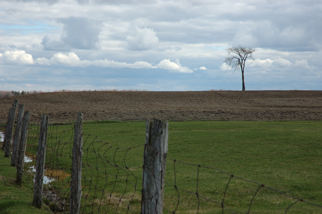 DSC_0102.jpg