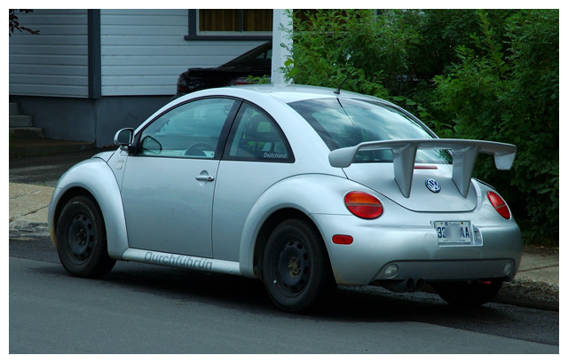 Beetle.jpg