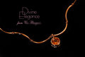 Jewelry Advertisement Entry