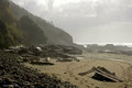 Cape Perpetua