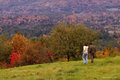 Fall Walk
