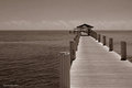 Path to the Sea