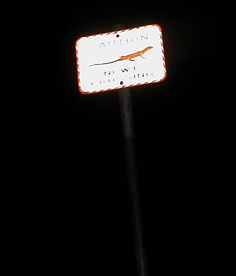 NewtCrossingx.jpg