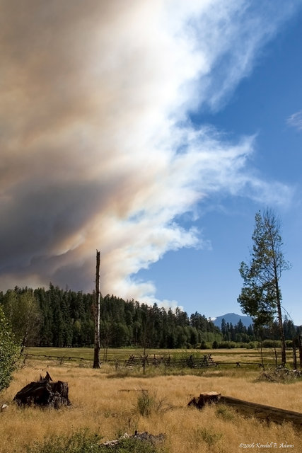 Fire on the Mountain