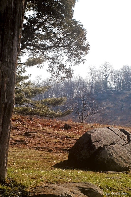 Hilltop
