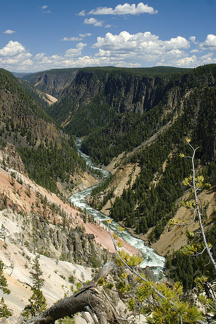 Grand Canyon of the Yellowstone