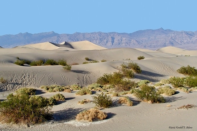 Dunes & Mountains