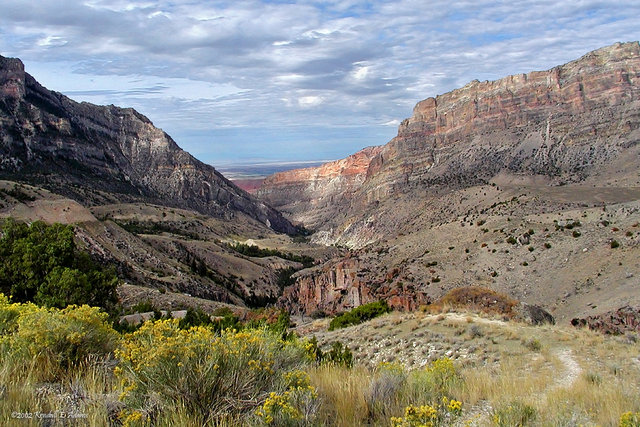 Shell Canyon