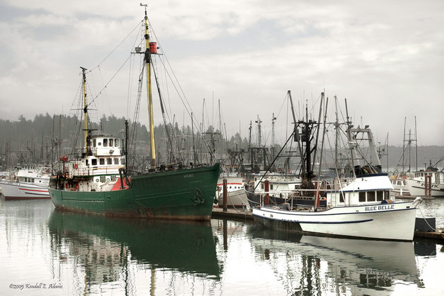 Where Go the Boats