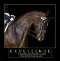 Excellence