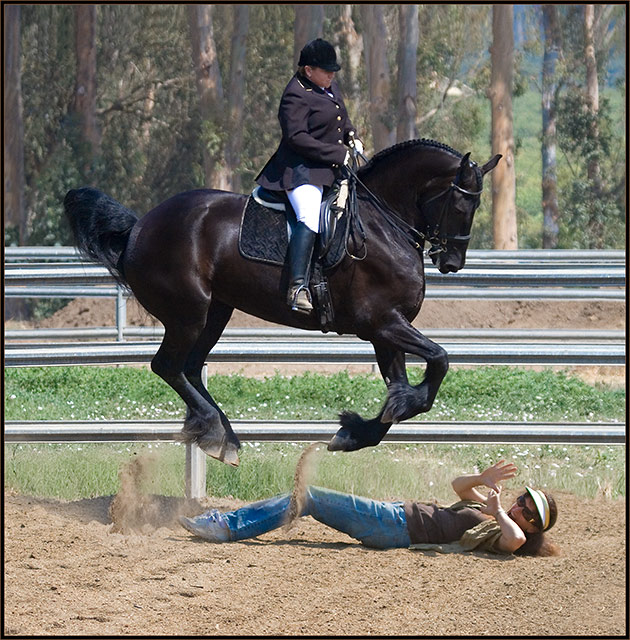 Extreme Dressage