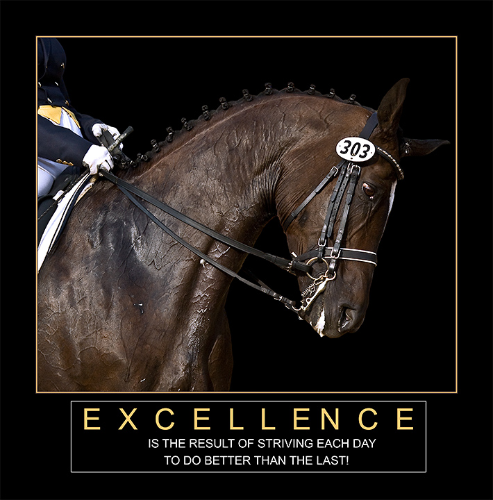 Excellence