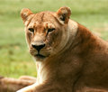 Caldwell Zoo