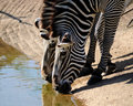 Caldwell Zoo