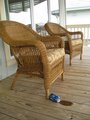 Spilled My Beer