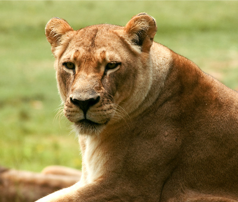 Caldwell Zoo