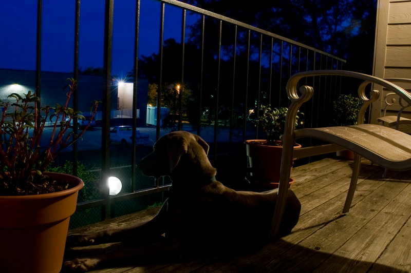 Relax on the Balcony