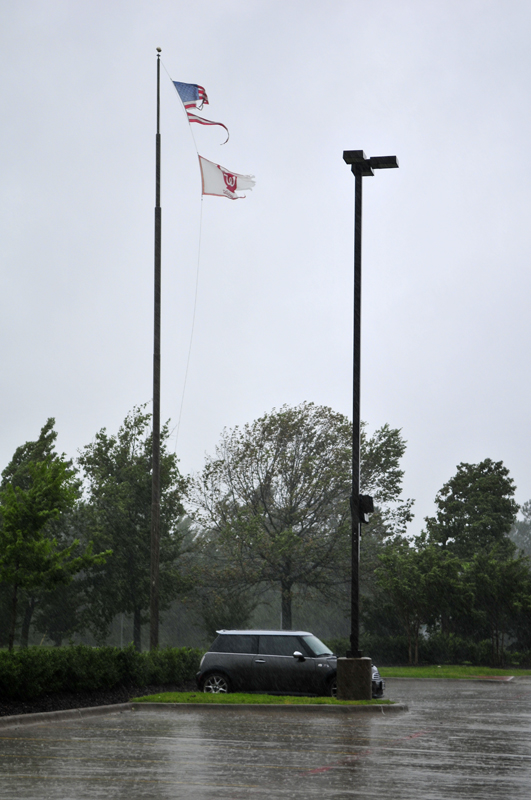 Flags01.jpg