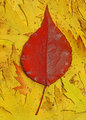 Autumn: Red On Yellow